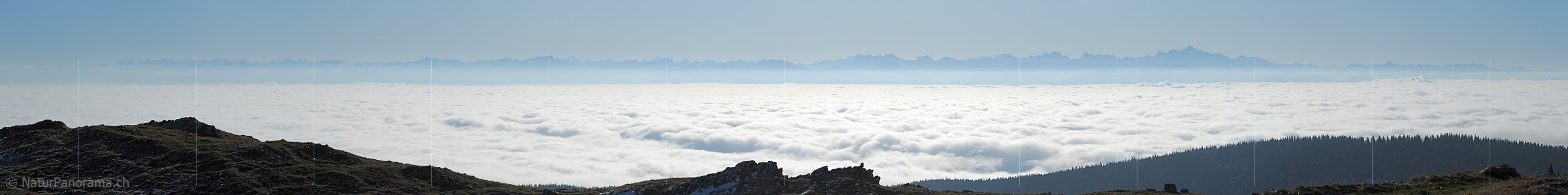 P008737a: Alpenpanorama vom Mont Tendre