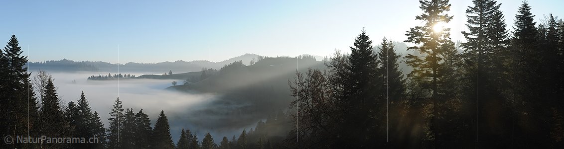P008802: Panoramabild Morgen an der Nebelgrenze