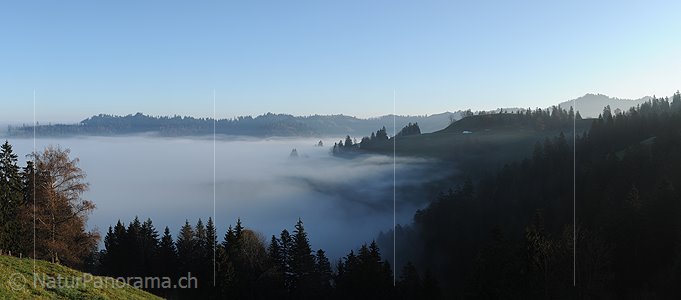 P008803: Panoramabild Morgenstimmung an der Nebelgrenze