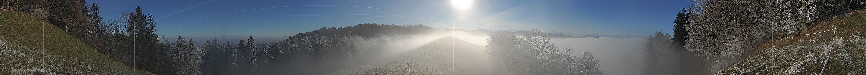 P008838: Panoramabild Raureif an der Nebelgrenze