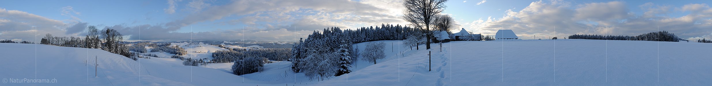 P008933: Panoramabild Winterabend in Hügellandschaft (Emmental)
