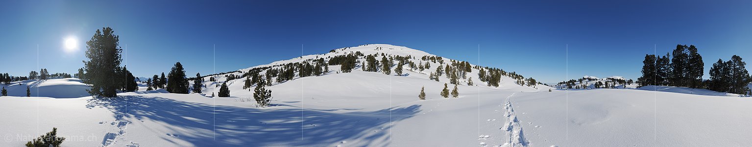 P009021: Hochauflösendes Panoramabild einer Winterlandschaft in den Bergen