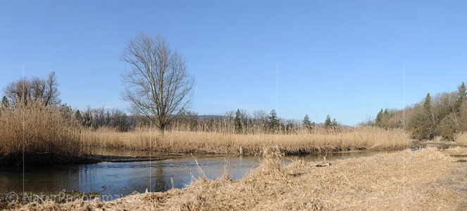P009103: Panoramabild Auenlandschaft