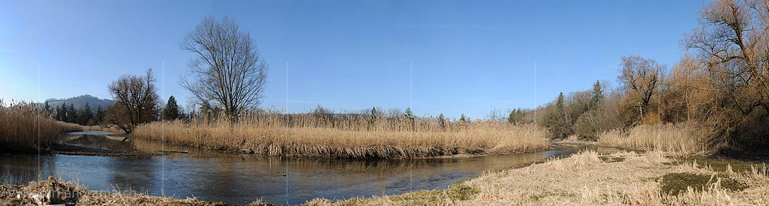 P009104: Large panoramic meadow landscape
