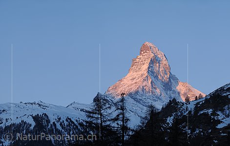 P009231: Grossbild Matterhorn im Morgenlicht