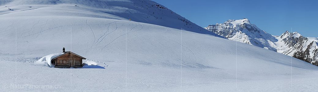 P009253a: Panoramafoto Alphütte / Almhütte in alpiner Winterlandschaft