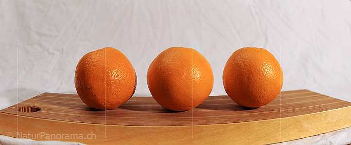 P009361: Panoramafoto Orangen (Früchte)