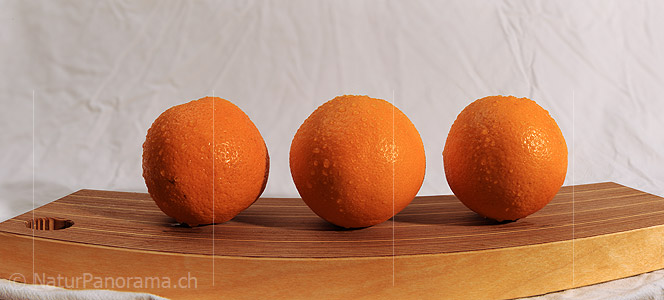 P009362: Panorama Orangen (Früchte) auf Holzbrett