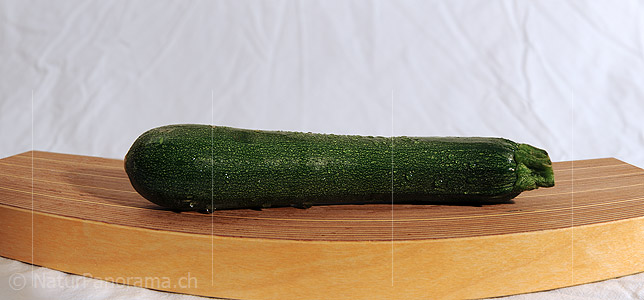 P009368: Panoramabild Zucchetti (Gemüse)