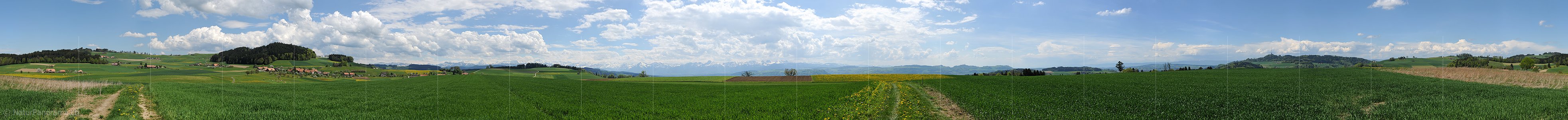 P009641: Panoramabild Frühlingslandschaft