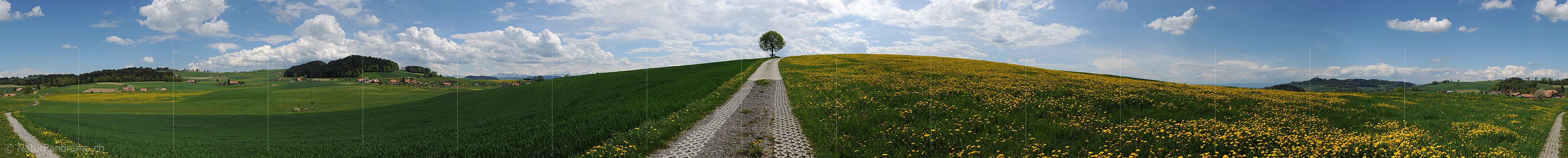 P009644: Panorama Frühlingslandschaft