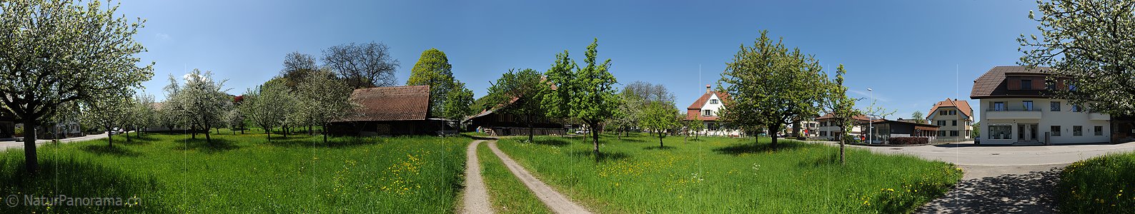 P009656: Grosspanorama Obstgarten in Dorf