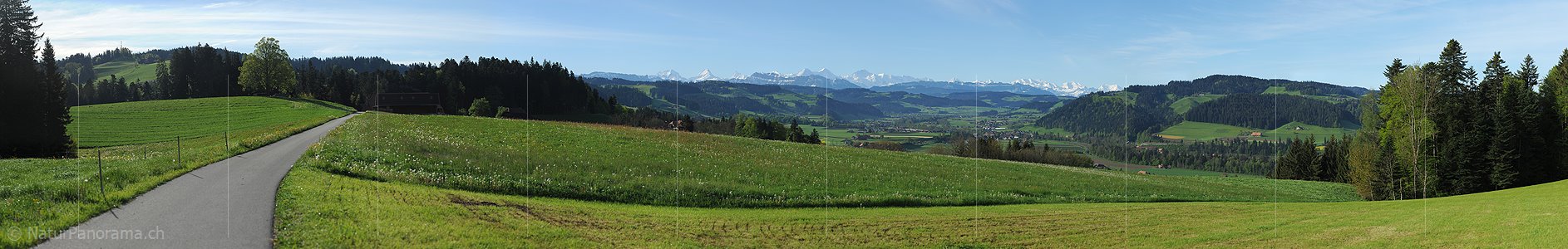 P009715: Gigapixel Panorama Grüne Hügellandschaft und Alpenkette