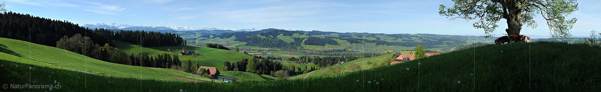 P009718: Gigapixel panorama Emmental hills