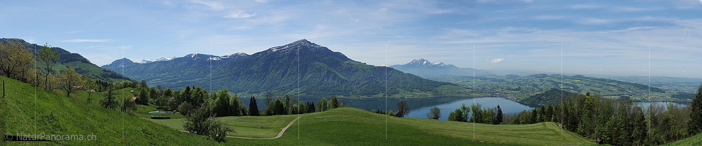 P009757: Panoramabild Rigi und Zugersee vom Walchwilerberg