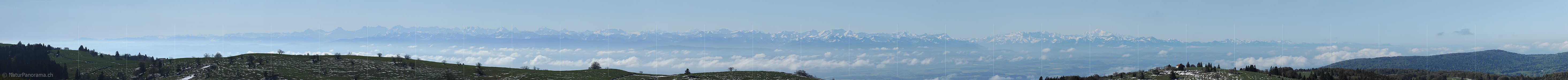 P009773: Alpenpanorama vom Le Soliat (Creux du Van)