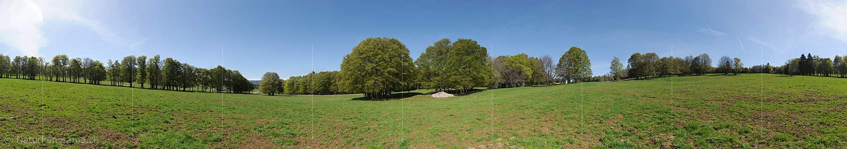 P009784: 360° Panoramafoto Buchen auf Juraweide