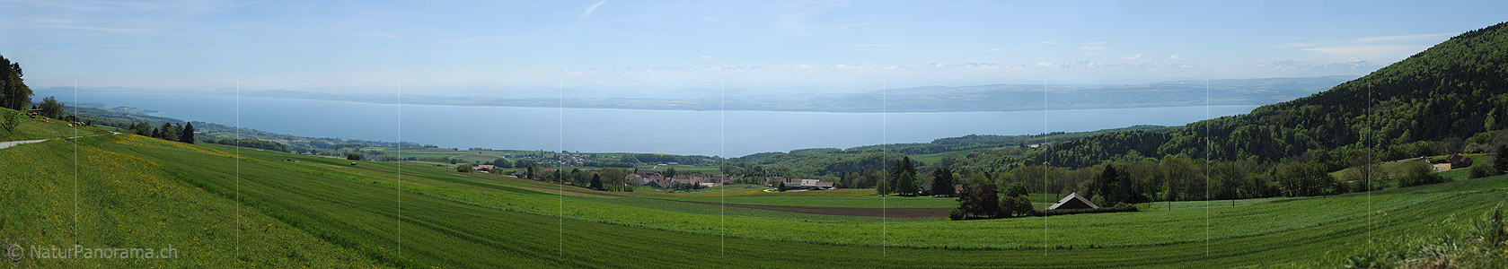 P009786: Panorama Neuenburgersee