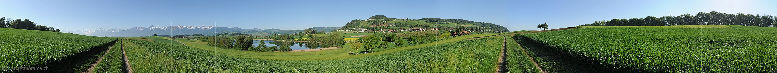 P009791: Panoramabild Gerzensee
