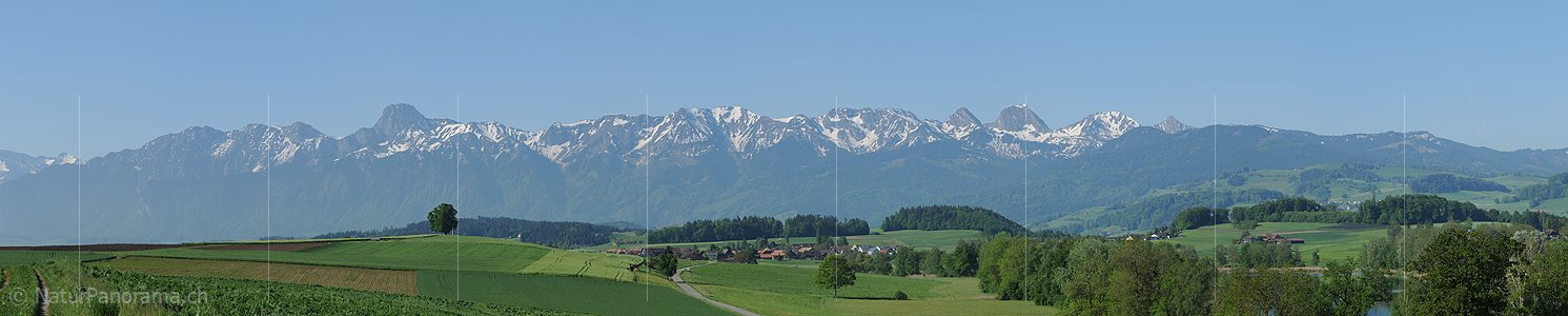 P009792e: Panoramafoto Kulturlandschaft am Gerzensee