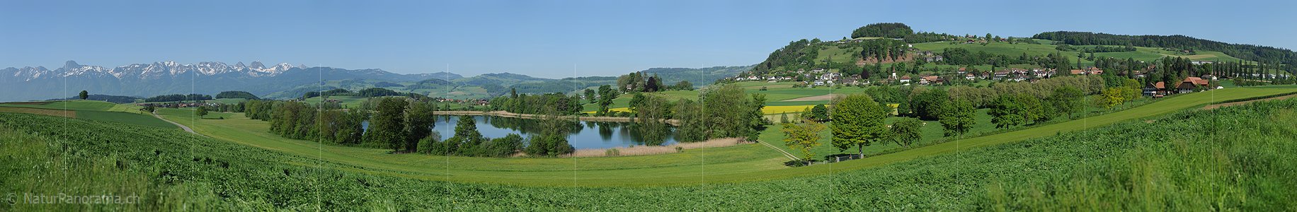 P009792f: Panoramafoto Kulturlandschaft am Gerzensee