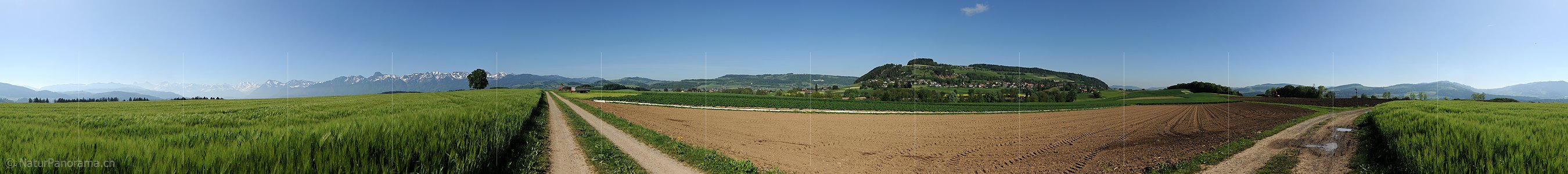 P009794: Panoramabild Kulturland bei Kirchdorf