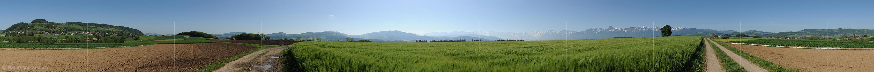 P009795: 360° Panoramic photo cultivated land in Kirchdorf