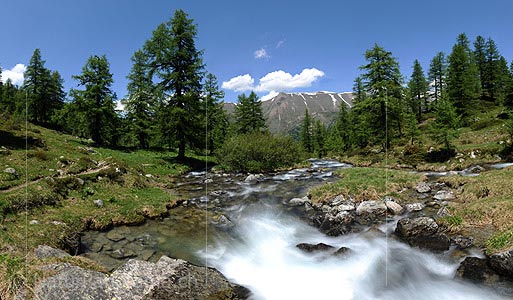 P009910: Large photo Mountain stream in sparse larch forest (Long exposure)