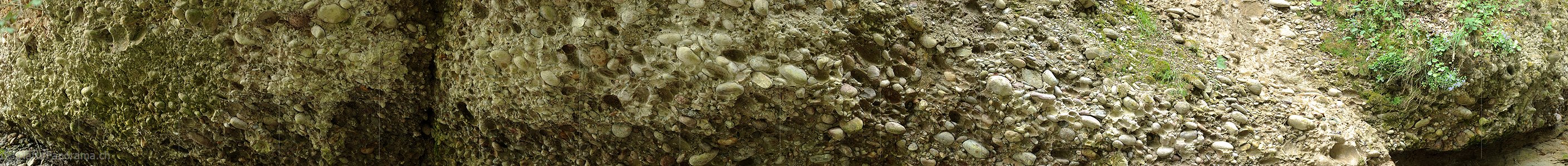 P010221: Panorama Nagelfluh (Konglomerat)