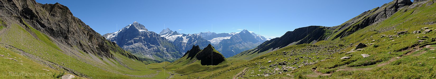 P010492: Panoramabild Berner Alpen von Grindelwald First