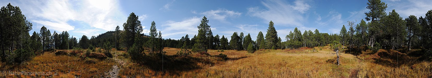P010741: Panoramabild Moorlandschaft