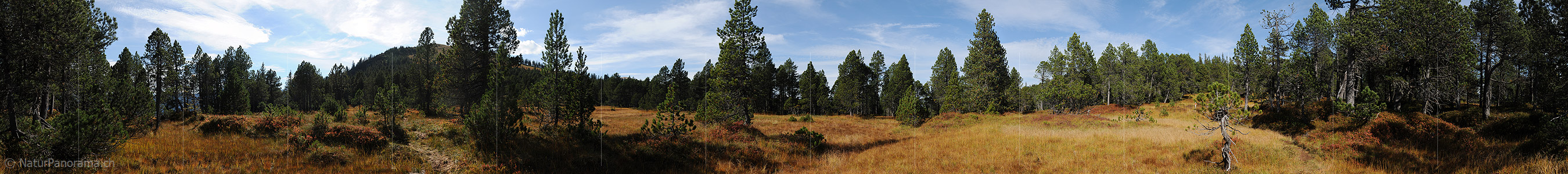 P010741a: Panorama Moorlandschaft