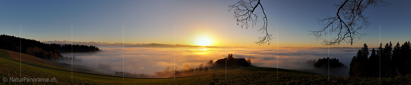 P010916b: Panorama Abendstimmung mit Nebelmeer und feinen Farbabstufungen