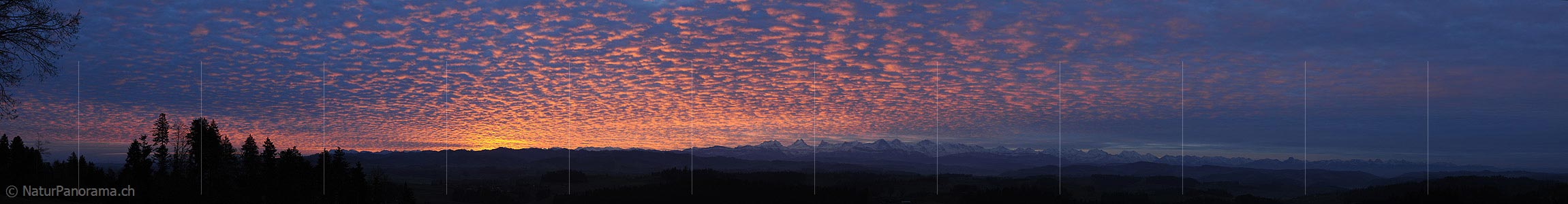 P010985: Panoramic image Dramatic morning with glowing clouds
