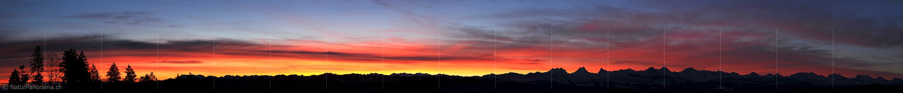 P011066: Panoramafoto Morgenstimmung über den Berner Alpen