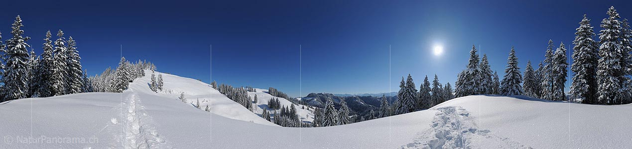 P012124: 360° Gigapixel panorama image Deep snow covered hills