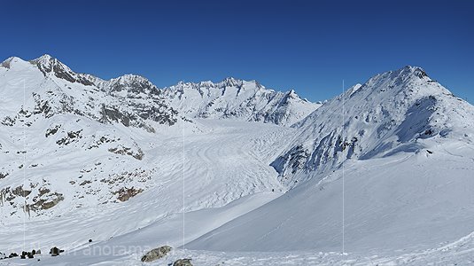 P012222a: Panorama Grosser Aletschgletscher von der Moosfluh (Aletscharena)