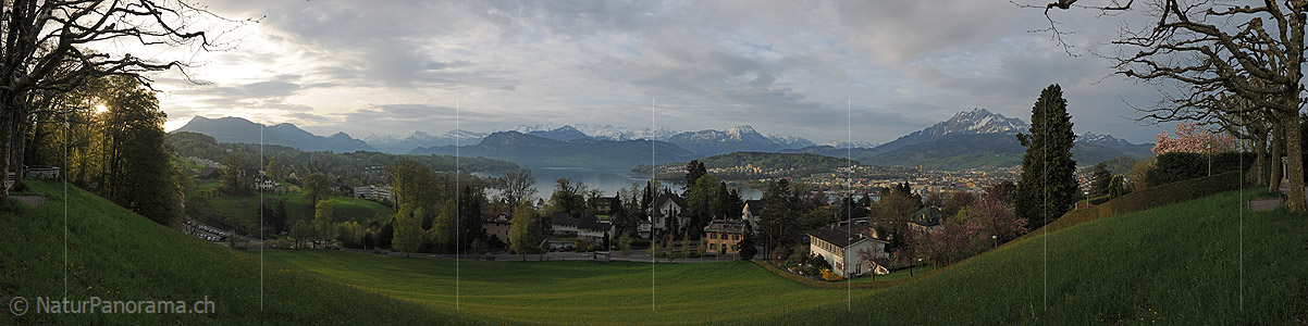 P012391: Panoramabild Morgenstimmung über Luzern