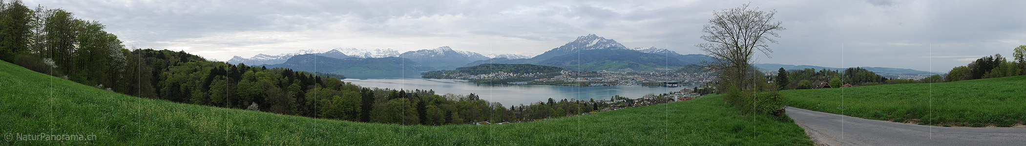 P012394a: Panoramabild Stadt Luzern und Pilatus