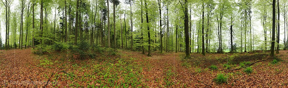 P012402: 360° Gigapixel-Panoramafoto Buchenwald
