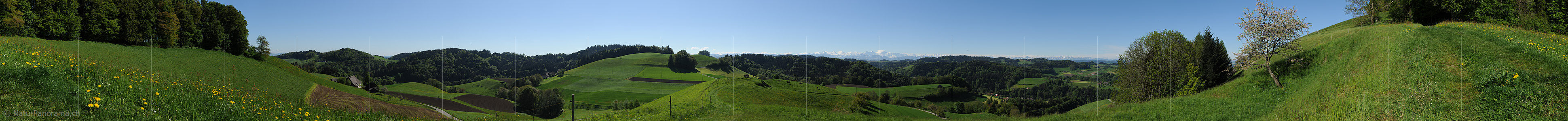 P012565: 360° Panoramafoto Oberbüelchnubel