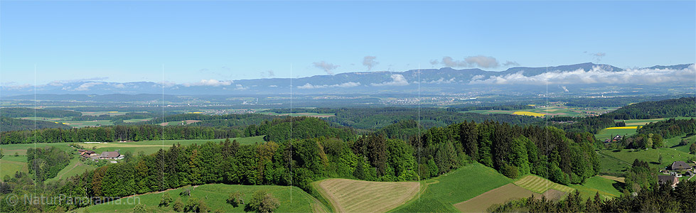 P012587a: Panoramafoto Oberbüelchnubel