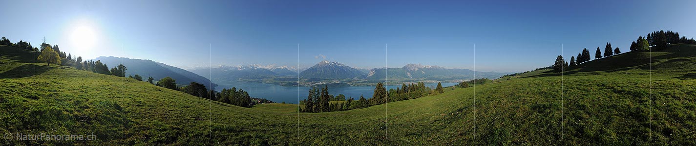 P012772: 360° Panoramic photo Juicy meadow over Lake Thun