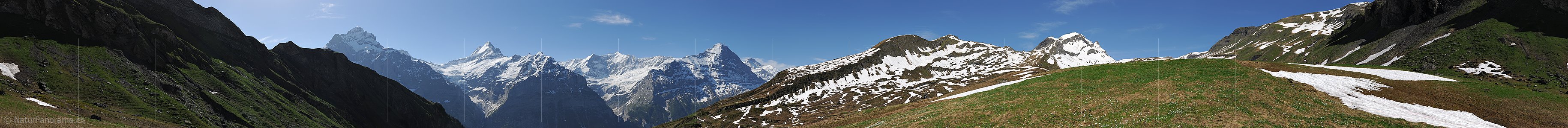 P012921: 360° Panoramafoto Grindelwald Bachläger