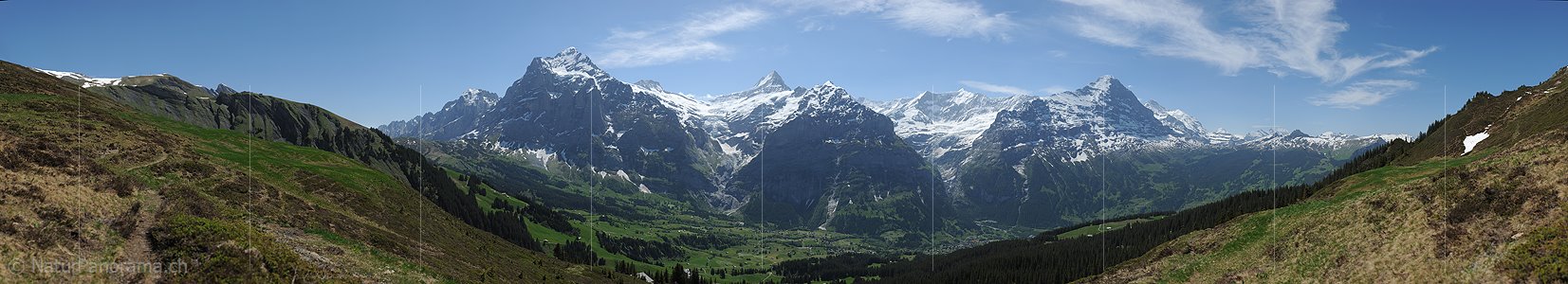 P012931: Hochauflösendes Panoramafoto von Wetterhorn, Schreckhorn, Gross Fiescherhorn und Eiger