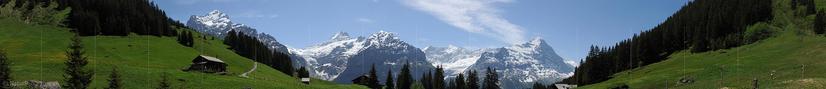 P012933a: Lush green meadows in front of the Bernese Alps (Wetterhorn und Co.)