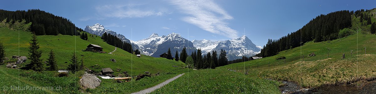 P012933b: Panoramafoto Saftig grüne Almwiesen vor Alpenkette