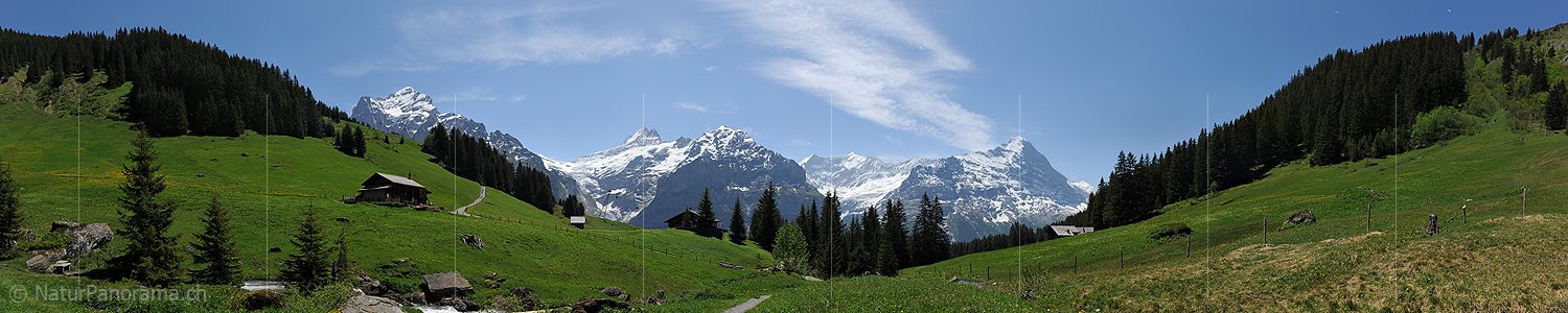 P012933c: Panoramafoto Berner Alpen (Wetterhorn und Co.)