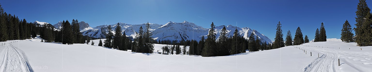 P014259: Panoramafoto Wald in winterlicher Berglandschaft