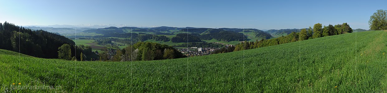 P014287: Panoramafoto Emmental